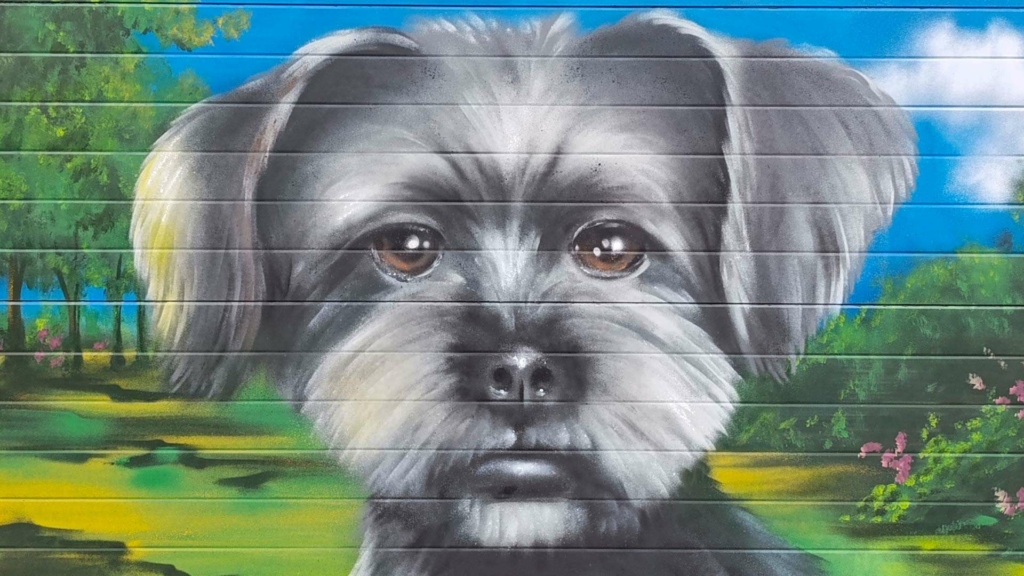 AvenidaDog3