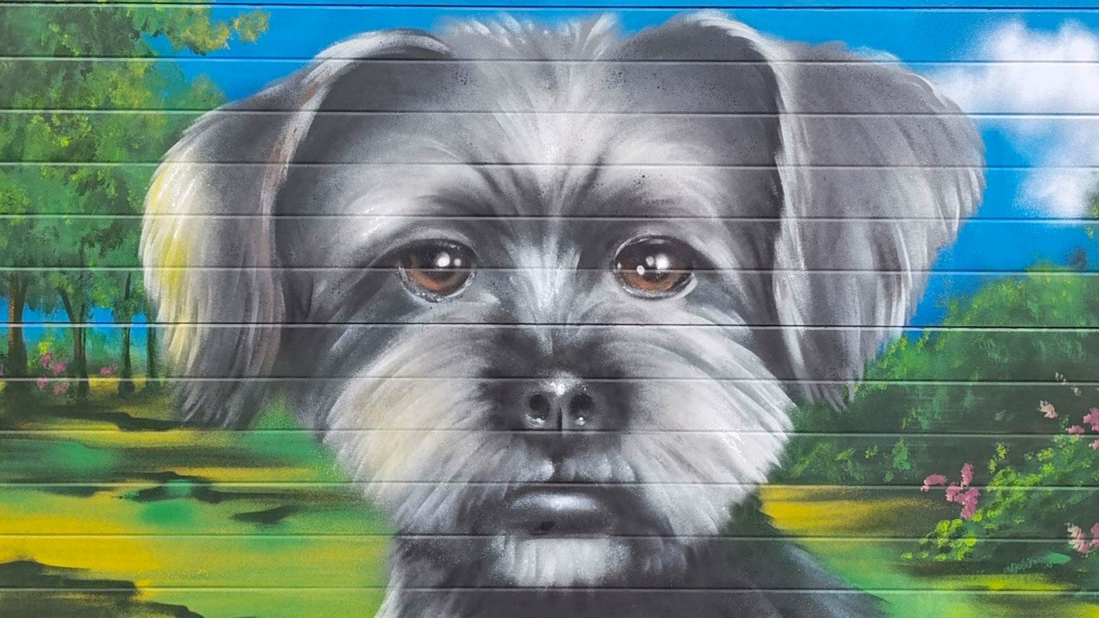 AvenidaDog3